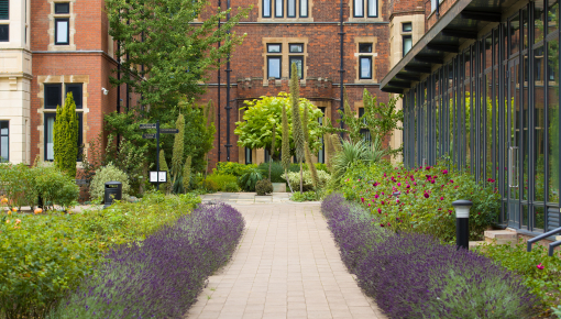 Homerton College grounds image with lavender